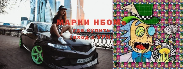 индика Магадан