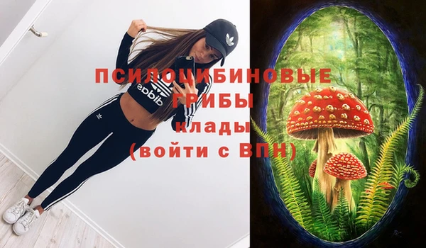индика Магадан
