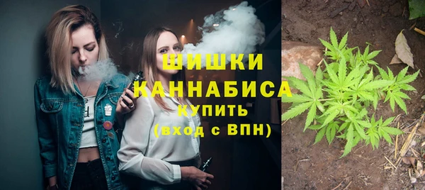 индика Магадан