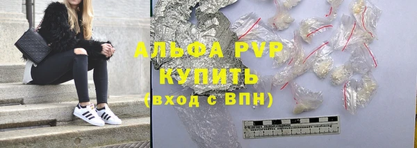 индика Магадан
